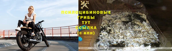 ПСИЛОЦИБИНОВЫЕ ГРИБЫ Куйбышев
