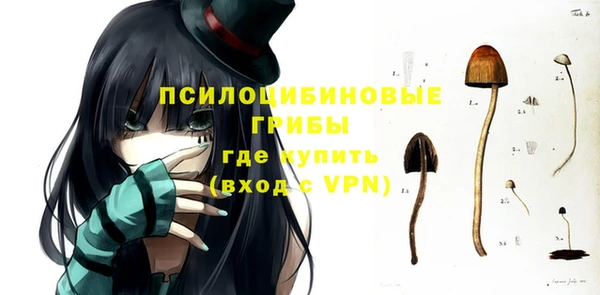 ПСИЛОЦИБИНОВЫЕ ГРИБЫ Куйбышев