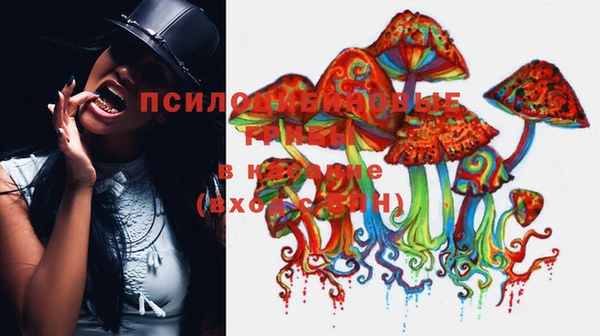 герыч Кулебаки