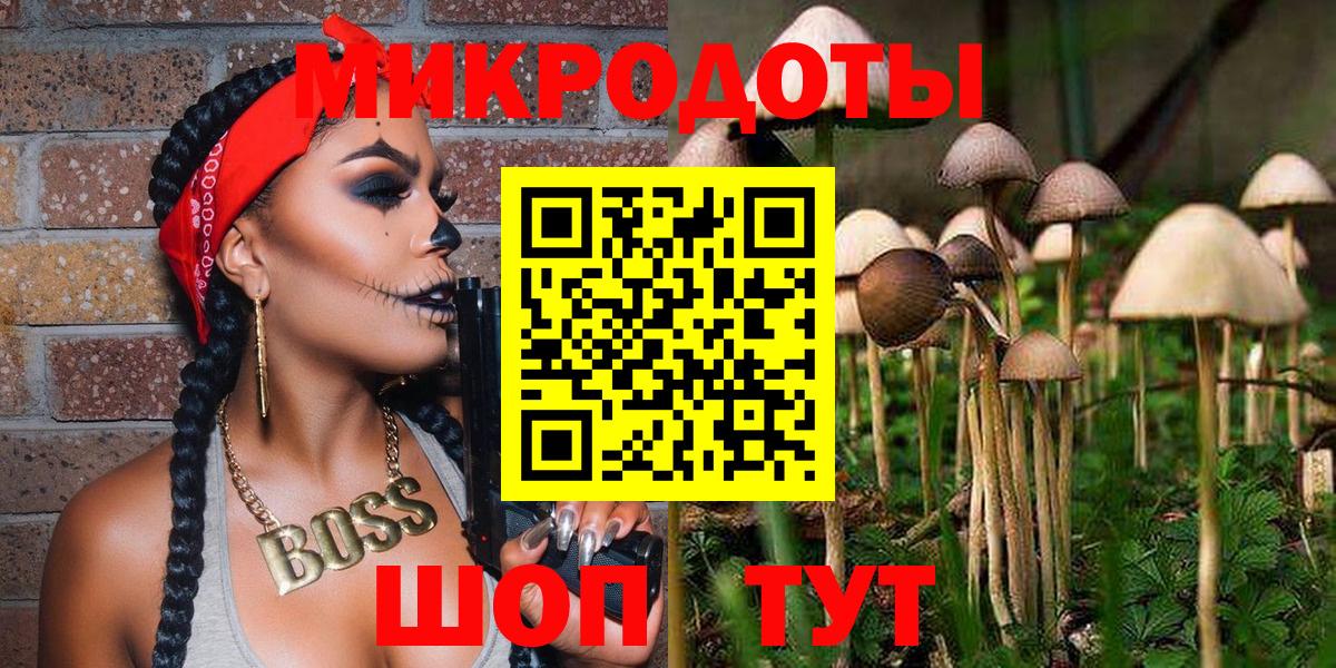 Галлюциногенные грибы Psilocybine cubensis Чебаркуль
