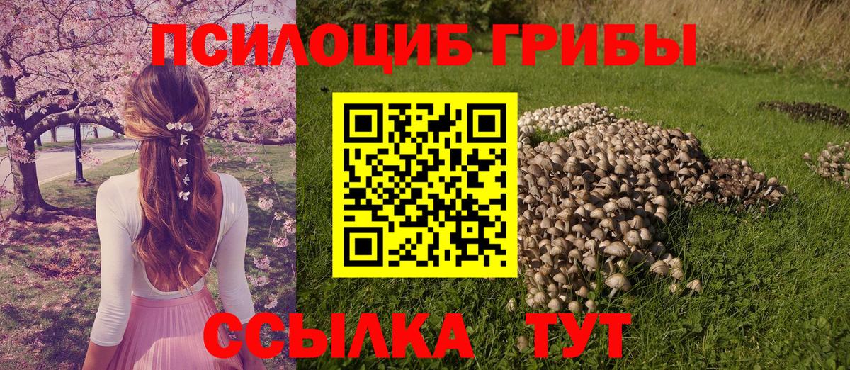Чебаркуль  Псилоцибиновые грибы мицелий  Вход с VPN  Галлюциногенные грибы прущие грибы 